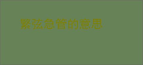 繁弦急管的意思