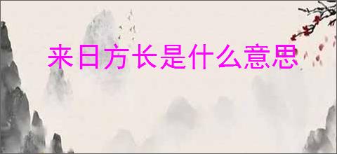 来日方长是什么意思