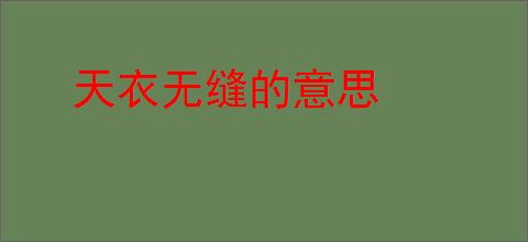 天衣无缝的意思