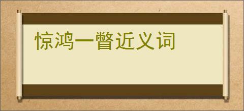 惊鸿一瞥近义词