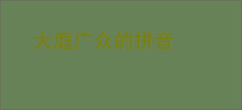 大庭广众的拼音