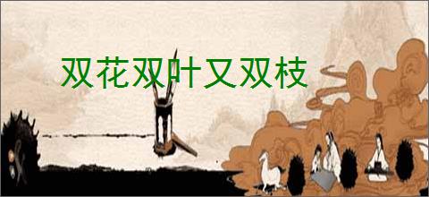 双花双叶又双枝